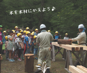 木が木材になるまで