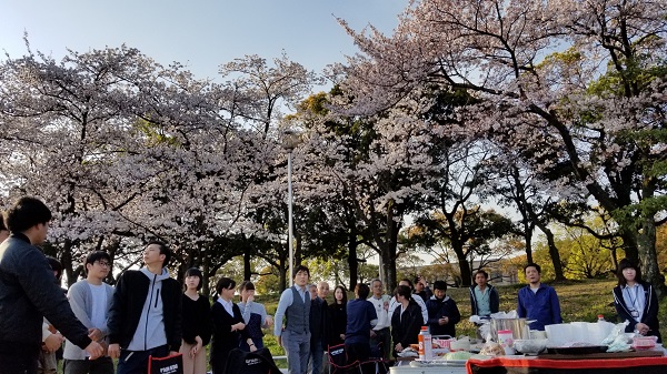 坂井建設のお花見の様子 今年は桜に恵まれました